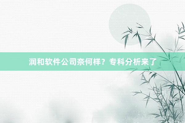润和软件公司奈何样？专科分析来了